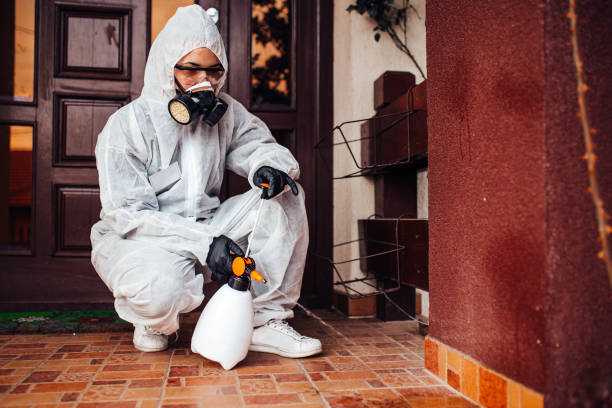 Reliable Bed Bug Control contractor in Barrington, NJ by Nex Pest Control